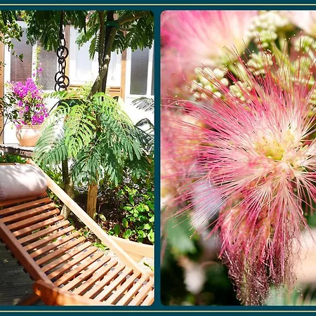 Accommodatie bij particulieren Les Embruns *