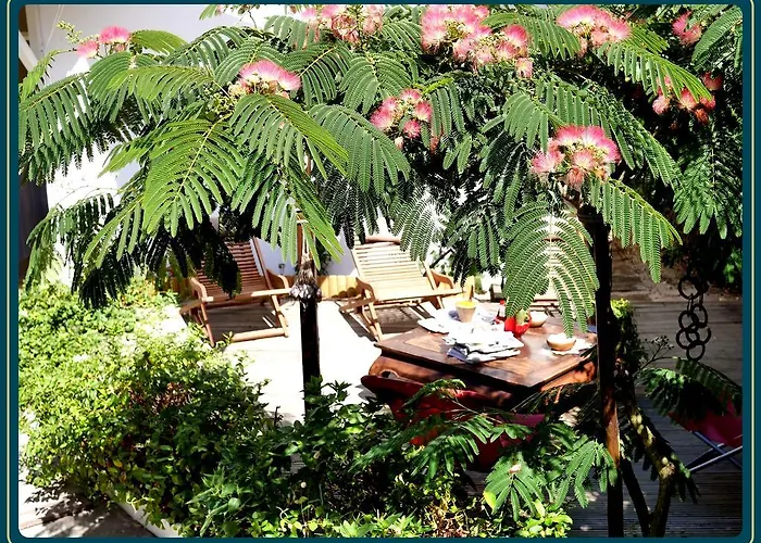 Accommodatie bij particulieren Les Embruns *