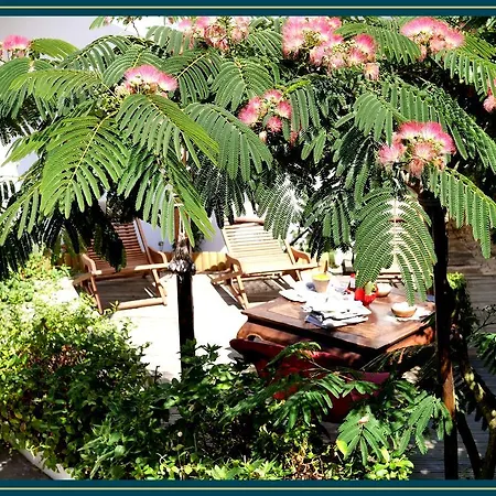 홈스테이 Les Embruns *