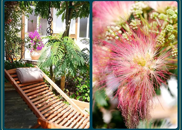 홈스테이 Les Embruns *